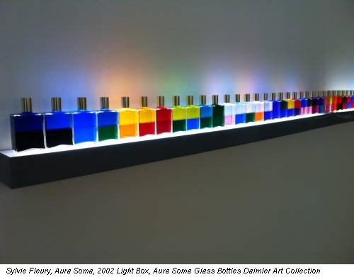 Sylvie Fleury, Aura Soma, 2002 Light Box, Aura Soma Glass Bottles Daimler Art Collection