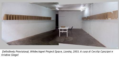 Definitively Provisional, Whitechapel Project Space, Londra, 2003. A cura di Cecilia Canziani e Kristine Siegel