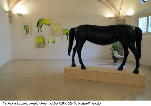 Federico Lanaro, veduta della mostra RMX, Studio Raffaelli Trento