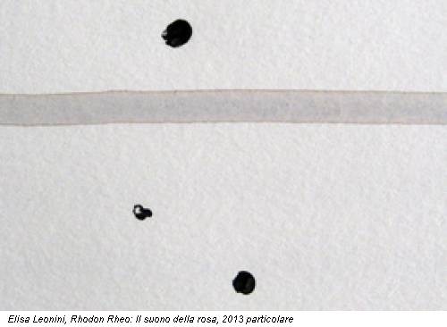 Elisa Leonini, Rhodon Rheo: Il suono della rosa, 2013 particolare