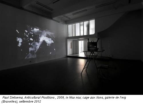 Paul Sietsema, Anticultural Positions , 2009, in Nou nou; cage aux lions, galerie de l’erg (Bruxelles), settembre 2012