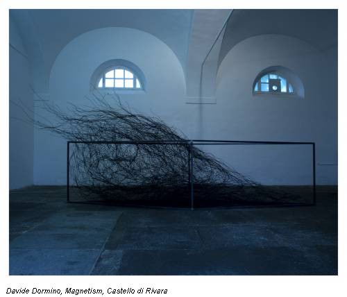 Davide Dormino, Magnetism, Castello di Rivara