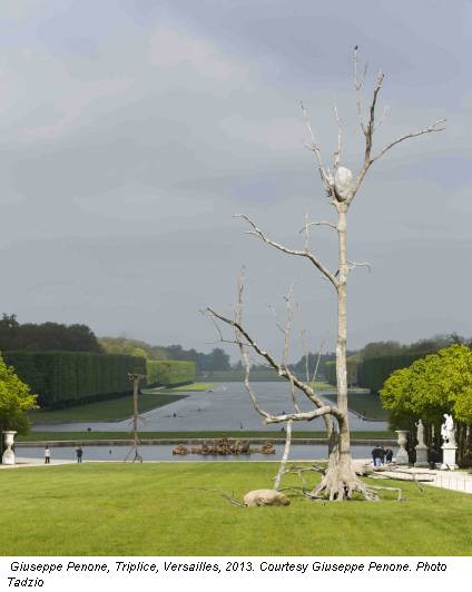Giuseppe Penone, Triplice, Versailles, 2013. Courtesy Giuseppe Penone. Photo Tadzio