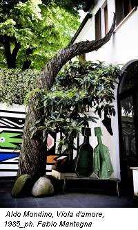 Aldo Mondino, Viola d'amore, 1985_ph. Fabio Mantegna