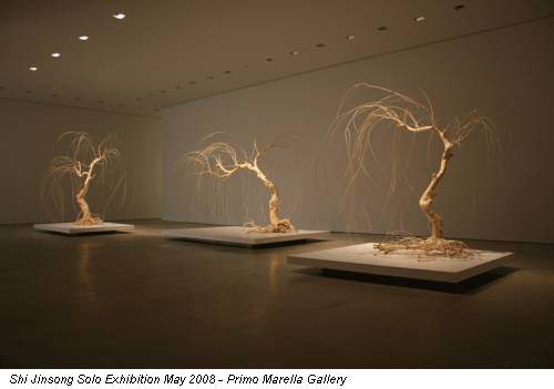 Shi Jinsong Solo Exhibition May 2008 - Primo Marella Gallery