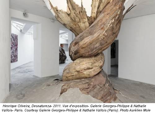 Henrique Oliveira, Desnatureza- 2011. Vue d’exposition- Galerie Georges-Philippe & Nathalie Vallois- Paris. Courtesy Galerie Georges-Philippe & Nathalie Vallois (Paris). Photo Aur&eacute;lien Mole