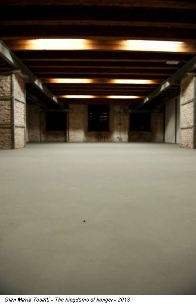 Gian Maria Tosatti - The kingdoms of hunger - 2013