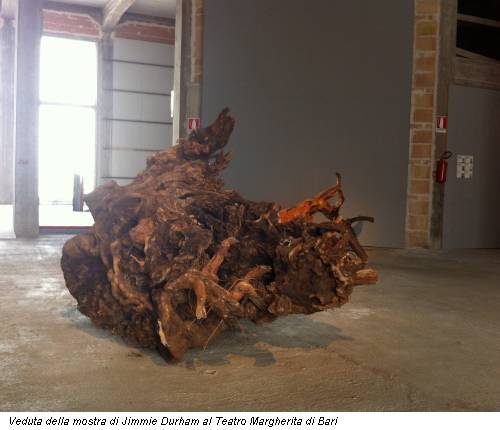Veduta della mostra di Jimmie Durham al Teatro Margherita di Bari