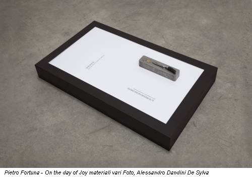 Pietro Fortuna - On the day of Joy materiali vari Foto, Alessandro Dandini De Sylva