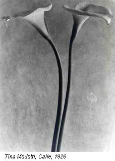 Tina Modotti, Calle, 1926