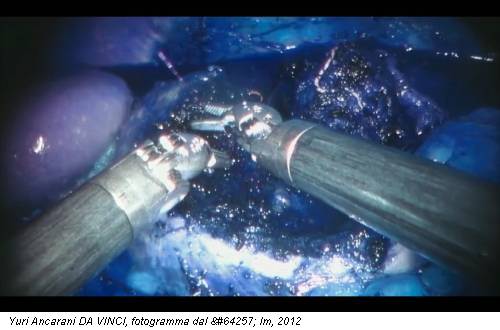 Yuri Ancarani DA VINCI, fotogramma dal ﬁ lm, 2012