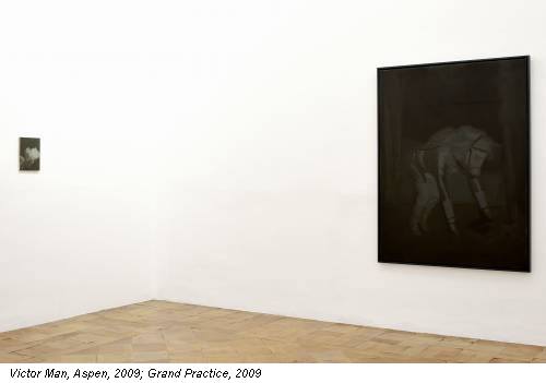 Victor Man, Aspen, 2009; Grand Practice, 2009