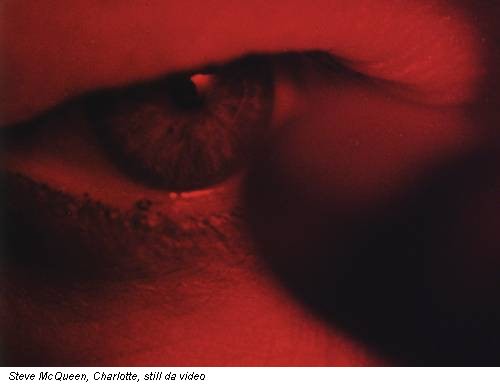 Steve McQueen, Charlotte, still da video