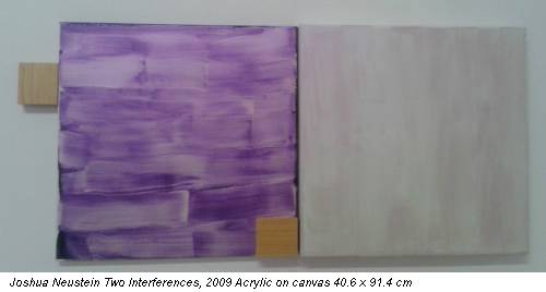 Joshua Neustein Two Interferences, 2009 Acrylic on canvas 40.6 x 91.4 cm