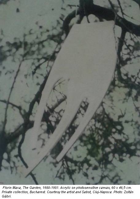 Florin Maxa, The Garden, 1980-1981. Acrylic on photosensitive canvas, 60 x 46,5 cm. Private collection, Bucharest. Courtesy the artist and Sabot, Cluj-Napoca. Photo: Zoltán Gábri.