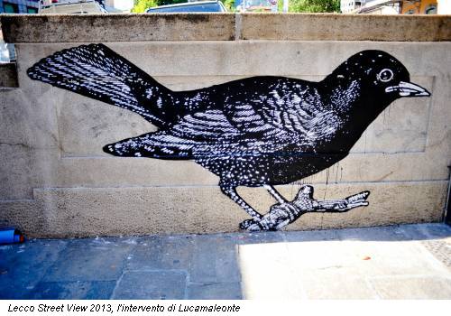 Lecco Street View 2013, l'intervento di Lucamaleonte
