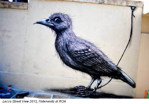 Lecco Street View 2013, l'intervento di ROA