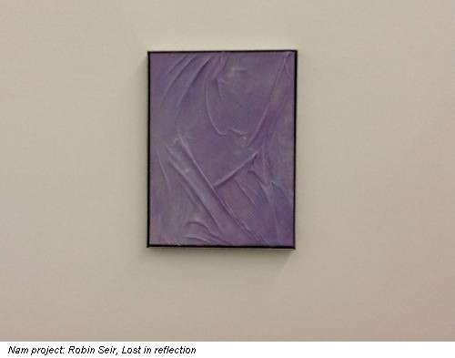 Nam project: Robin Seir, Lost in reflection