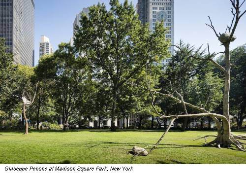 Giuseppe Penone al Madison Square Park, New York
