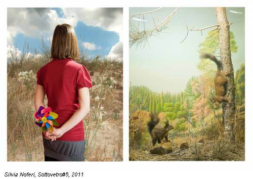 Silvia Noferi, Sottovetro#5, 2011