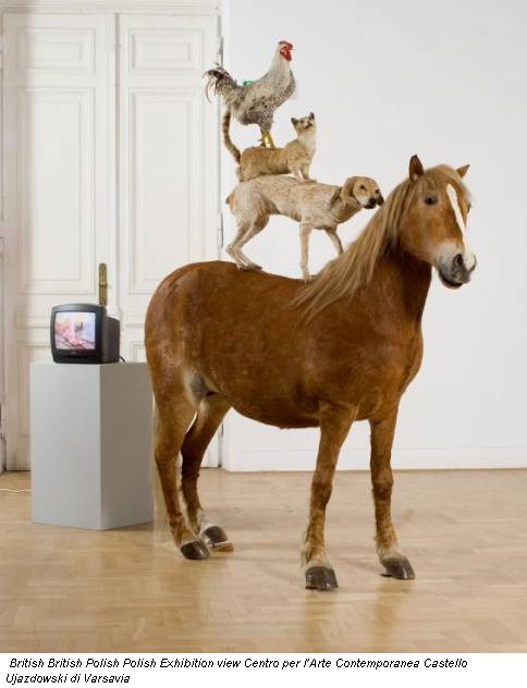 British British Polish Polish Exhibition view Centro per l’Arte Contemporanea Castello Ujazdowski di Varsavia