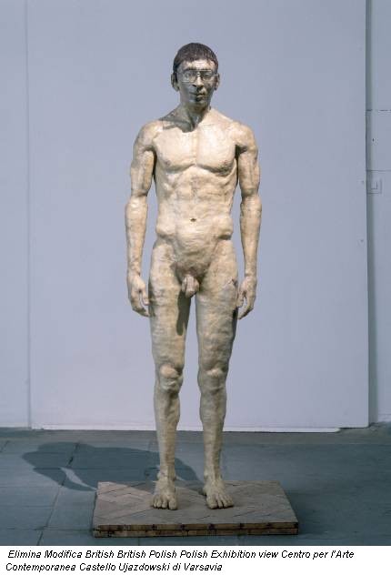 Elimina Modifica British British Polish Polish Exhibition view Centro per l’Arte Contemporanea Castello Ujazdowski di Varsavia