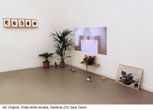 Ab Origine, Vista della mostra, Galleria Z2o Sara Zanin