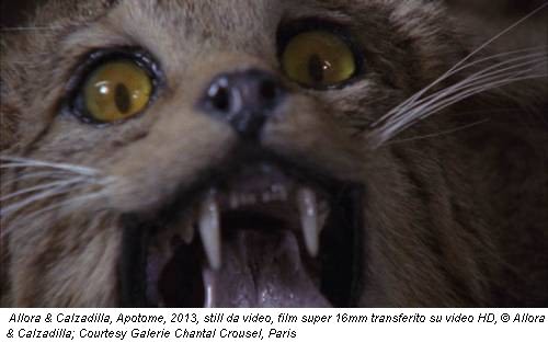 Allora & Calzadilla, Apotome, 2013, still da video, film super 16mm transferito su video HD, &copy; Allora & Calzadilla; Courtesy Galerie Chantal Crousel, Paris