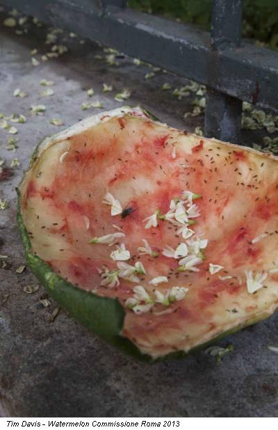 Tim Davis - Watermelon Commissione Roma 2013