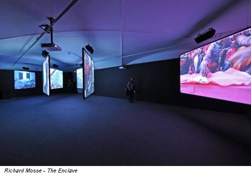 Richard Mosse - The Enclave
