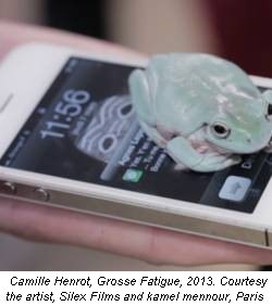 Camille Henrot, Grosse Fatigue, 2013. Courtesy the artist, Silex Films and kamel mennour, Paris