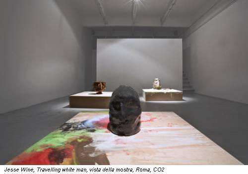 Jesse Wine, Travelling white man, vista della mostra, Roma, CO2