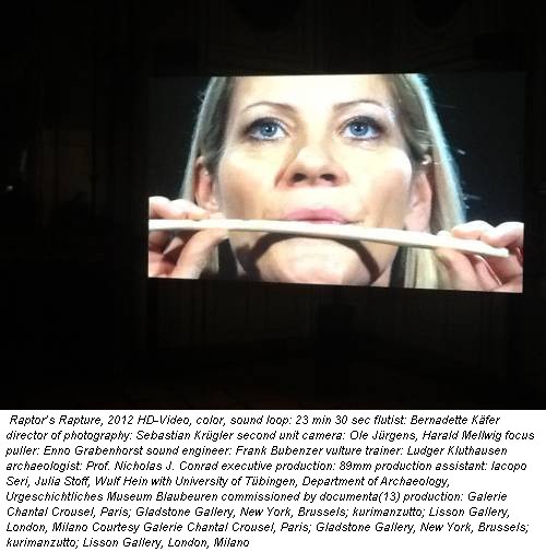 Raptor’s Rapture, 2012 HD-Video, color, sound loop: 23 min 30 sec flutist: Bernadette Käfer director of photography: Sebastian Krügler second unit camera: Ole Jürgens, Harald Mellwig focus puller: Enno Grabenhorst sound engineer: Frank Bubenzer vulture trainer: Ludger Kluthausen archaeologist: Prof. Nicholas J. Conrad executive production: 89mm production assistant: Iacopo Seri, Julia Stoff, Wulf Hein with University of Tübingen, Department of Archaeology, Urgeschichtliches Museum Blaubeuren commissioned by documenta(13) production: Galerie Chantal Crousel, Paris; Gladstone Gallery, New York, Brussels; kurimanzutto; Lisson Gallery, London, Milano Courtesy Galerie Chantal Crousel, Paris; Gladstone Gallery, New York, Brussels; kurimanzutto; Lisson Gallery, London, Milano
