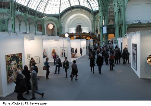 Paris Photo 2013, Vernissage.