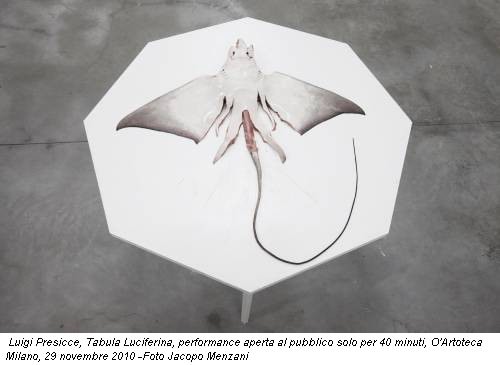 Luigi Presicce, Tabula Luciferina, performance aperta al pubblico solo per 40 minuti, O'Artoteca Milano, 29 novembre 2010 -Foto Jacopo Menzani