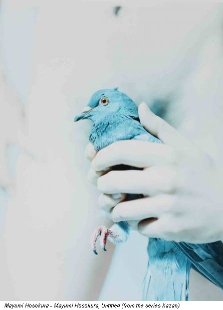 Mayumi Hosokura - Mayumi Hosokura, Untitled (from the series Kazan)