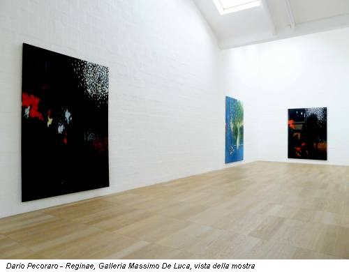 Dario Pecoraro - Reginae, Galleria Massimo De Luca, vista della mostra