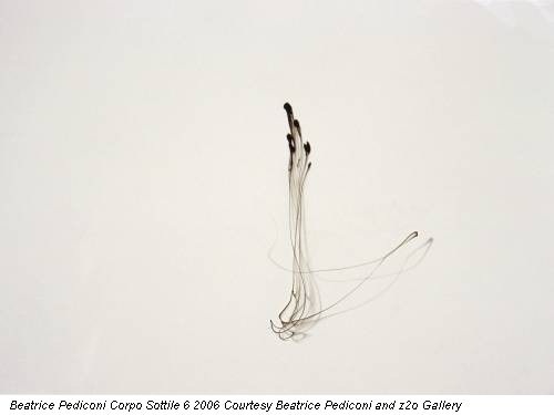 Beatrice Pediconi Corpo Sottile 6 2006 Courtesy Beatrice Pediconi and z2o Gallery