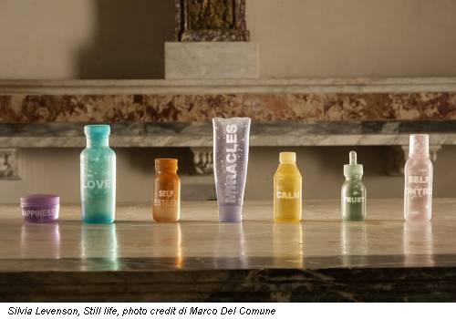 Silvia Levenson, Still life, photo credit di Marco Del Comune