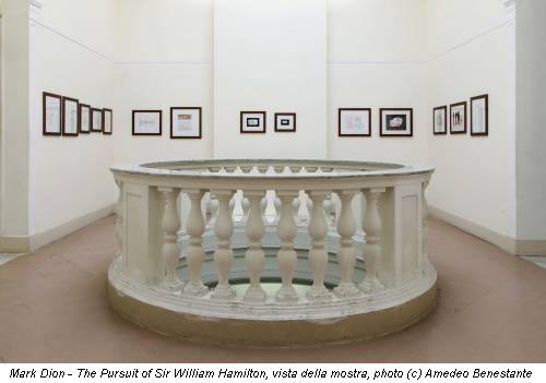Mark Dion - The Pursuit of Sir William Hamilton, vista della mostra, photo (c) Amedeo Benestante
