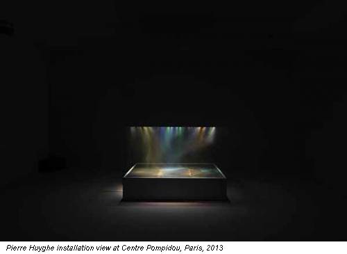 Pierre Huyghe installation view at Centre Pompidou, Paris, 2013