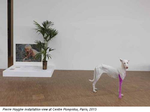 Pierre Huyghe installation view at Centre Pompidou, Paris, 2013