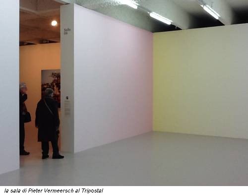 la sala di Pieter Vermeersch al Tripostal