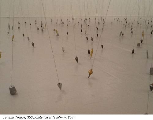 Tatiana Trouv&eacute;, 350 points towards infinity, 2009