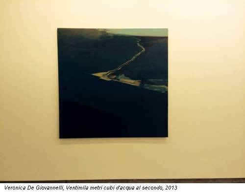 Veronica De Giovannelli, Ventimila metri cubi d'acqua al secondo, 2013