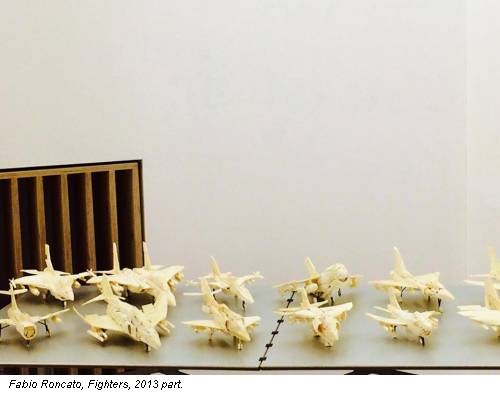 Fabio Roncato, Fighters, 2013 part.