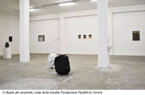 Il rituale del serpente, vista della mostra Fondazione Pastificio Cerere