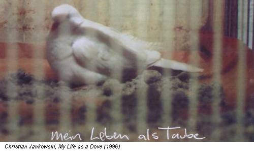 Christian Jankowski, My Life as a Dove (1996)