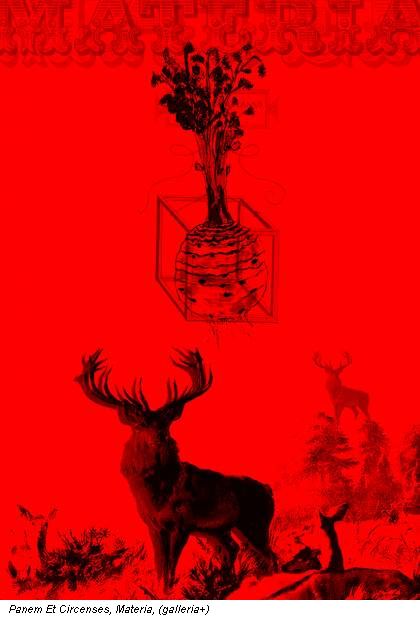 Panem Et Circenses, Materia, (galleria+)