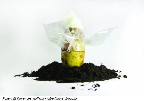 Panem Et Circenses, galleria + oltredimore, Bologna